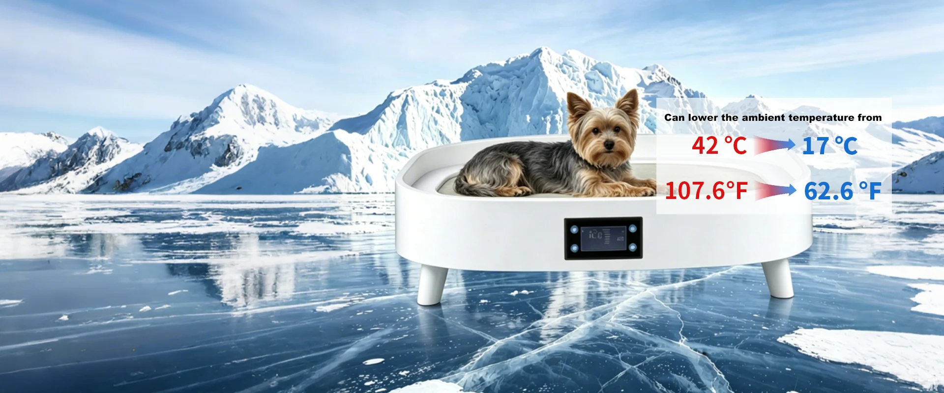 Bed for Pet Supplier